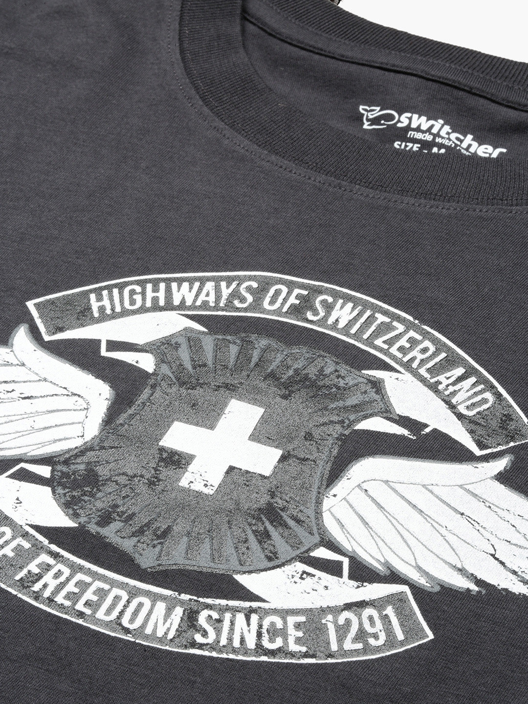 Camicia di commutazione Autostrade della Svizzera a colori/410 arsenico