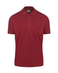 Polo da uomo Switcher Samuel color/bordeaux