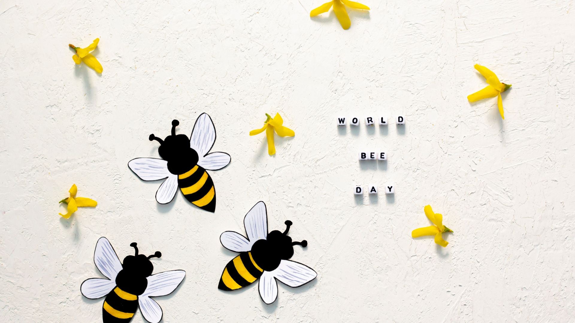 Api consapevoli, api attive: come Switcher promuove la conservazione della natura?
