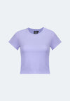 144 Lavanda
