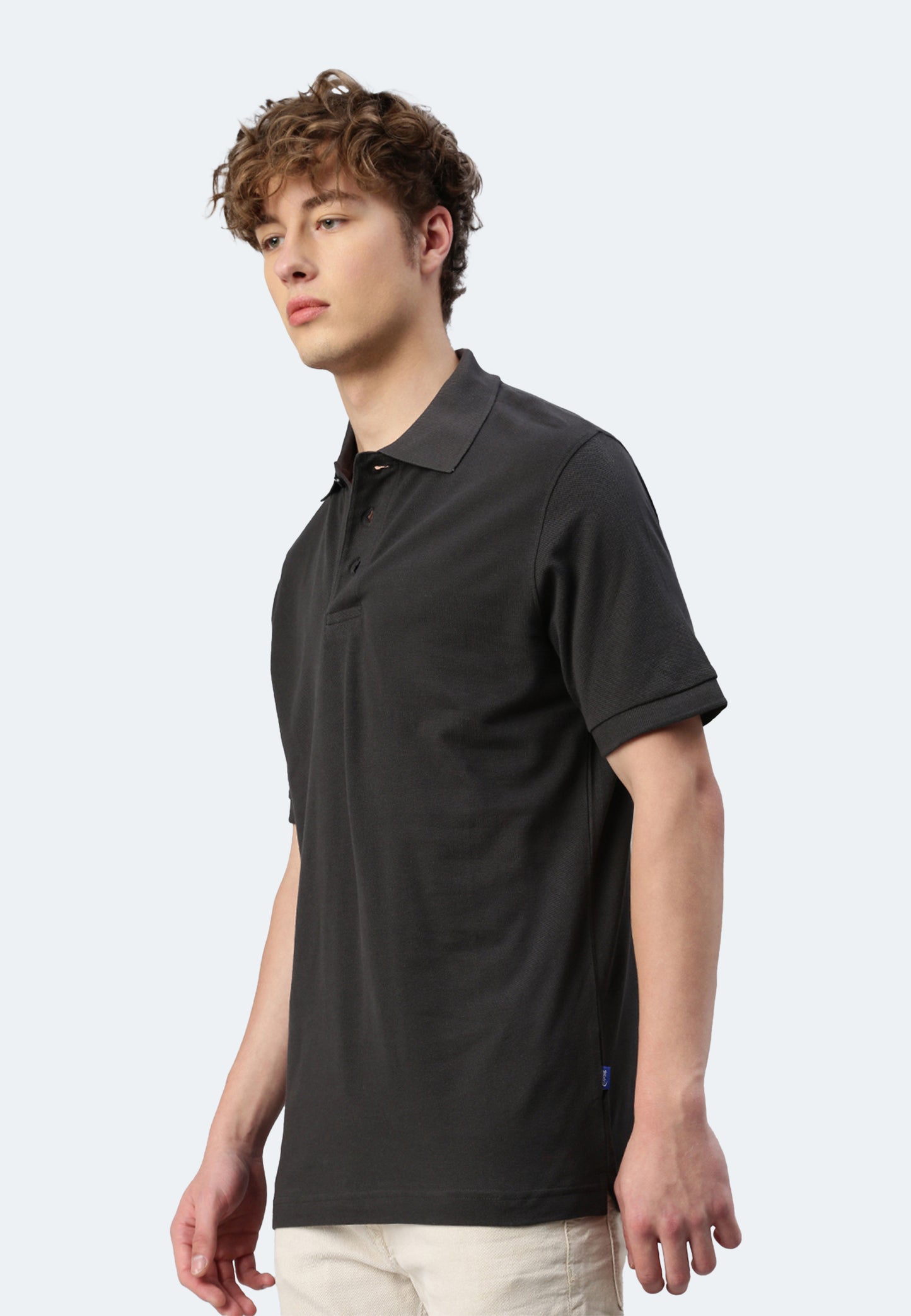 Switcher polo whale colour/410 arsenico